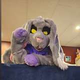 oliverthewabbit from onlyfans